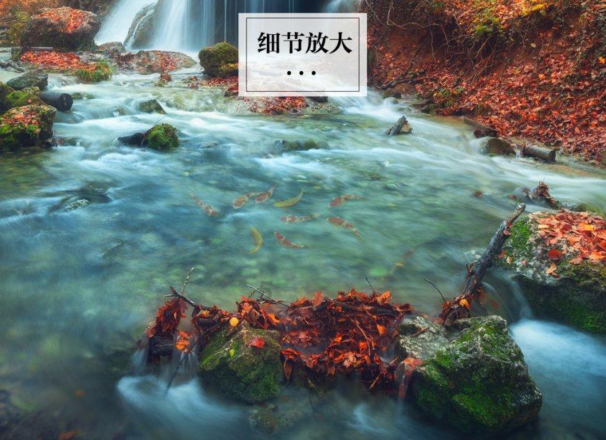帮你解决疑问,尽在